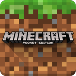 Minecraft - Pocket Edition_0.16.2.2
