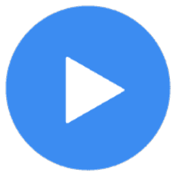 MX Player Pro_1.24.5