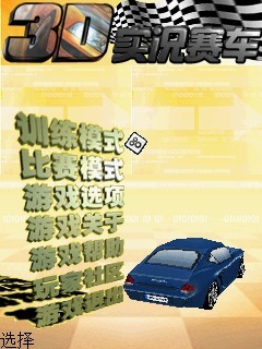 3D实况赛车