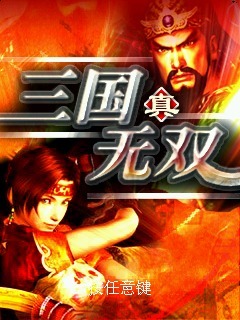 真三国无双