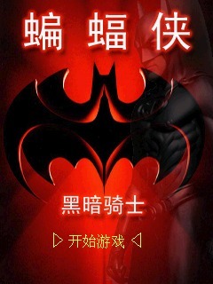 蝙蝠侠之黑暗骑士