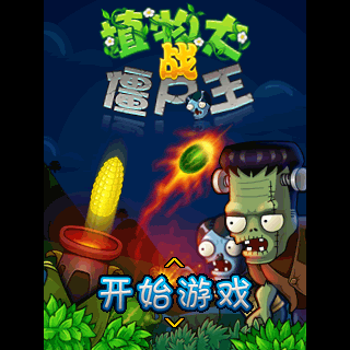 植物大战僵尸王