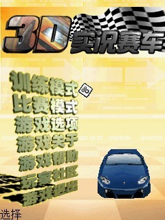 3D实况赛车