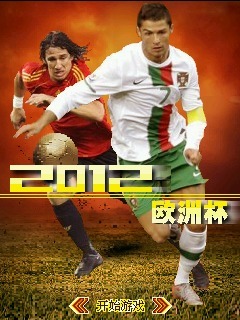 2012欧洲杯