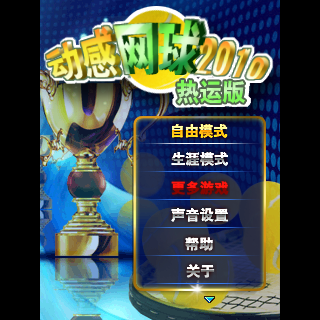 动感网球2010-热运版
