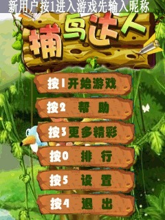 捕鸟达人