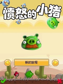 愤怒的小猪