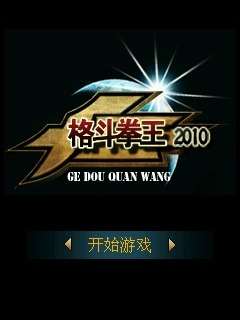 格斗拳王2010